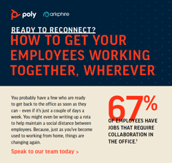 Poly infographic