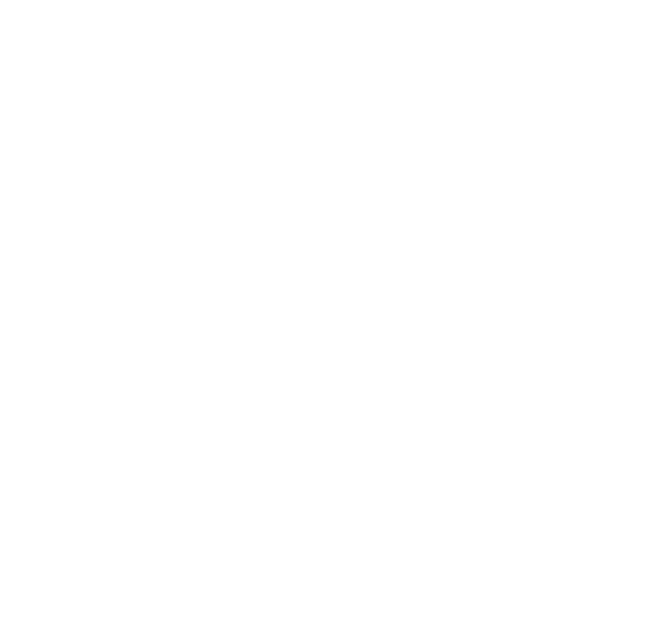 Microsoft gold partner 